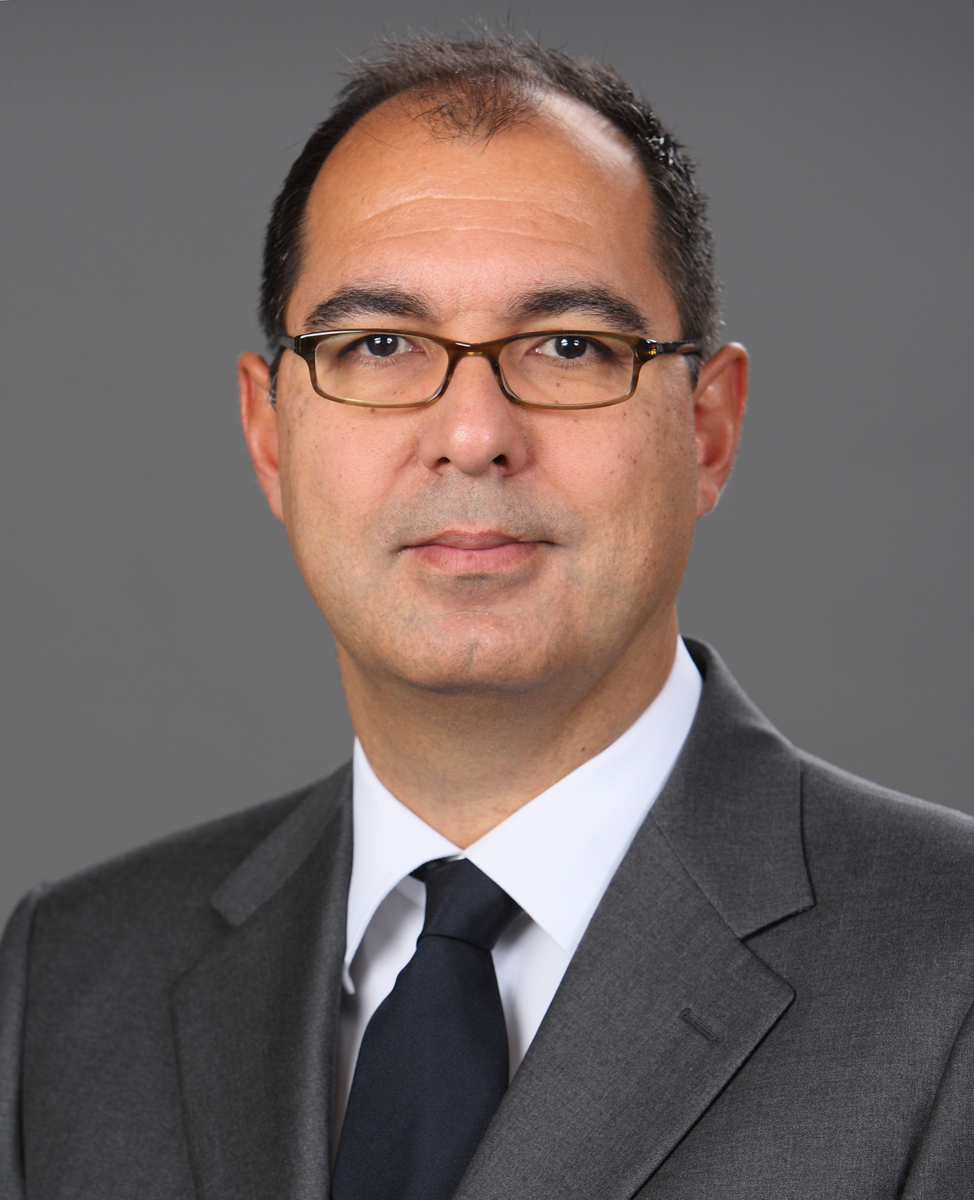 Prof. Dr. Dr. Ayad Al-Ani